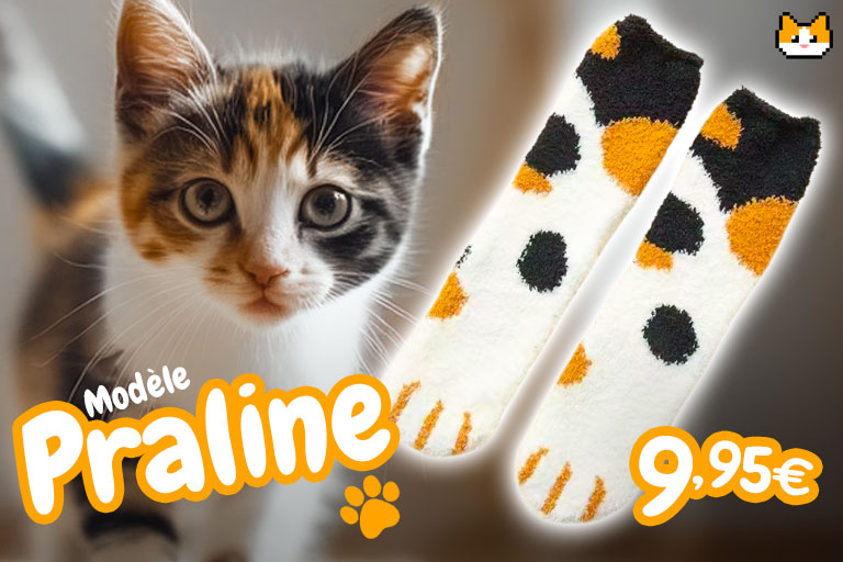 chaussette-chat-fluffy-pilou-figaro